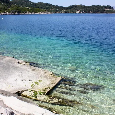 Seaside With A Swimming Pool Sobra, Mljet - 22926 Apartamento *