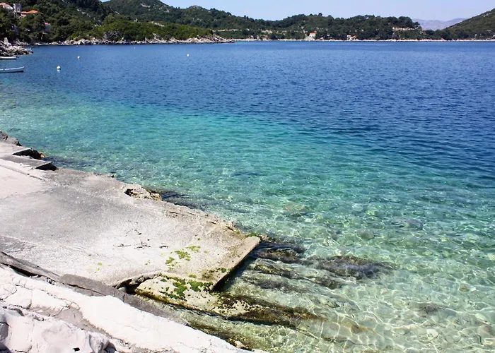 Seaside With A Swimming Pool Sobra, Mljet - 22926 Appartamento *